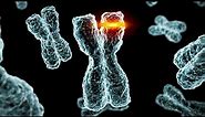 New findings on the Philadelphia chromosome