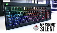 Corsair Strafe RGB Keyboard w/ MX Silent Switches Review!