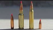 6.5 Grendel vs 5.56/223 Remington Comparison & Analysis