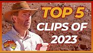 Your Favourite Coight Clips of 2023! | All Aussie Adventures