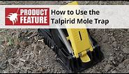 How to use the Talpirid Mole Trap | DoMyOwn.com