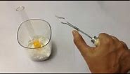 Online Science Practical Class - How to handle a glass test tube using test tube holder