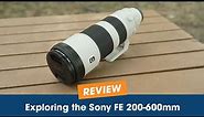 Exploring the Sony FE 200-600mm: A Super Telephoto Lens Overview