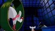 Pinky & The Brain - What Do You Want To Do Today?