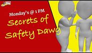 National Safety Code, The Secrets of Safety Dawg