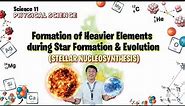FORMATION OF HEAVIER ELEMENTS | STELLAR NUCLEOSYNTHESIS | SCIENCE 11 - PHYSICAL SCIENCE
