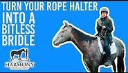 Turn Your Rope Halter into a Bitless Bridle, and February contest winners