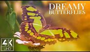 Dreamy Butterflies 4K - Relaxing TV Screensaver with Music & Nature Sounds (8 Hours)