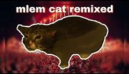 Mlem Cat Remix