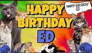 Happy Birthday Ed! Crazy Cats Say Happy Birthday Ed (Very Funny)