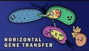 CONJUGATION, TRANSFORMATION, TRANSDUCTION (HORIZONTAL GENE TRANSFER)