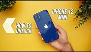 How to Unlock iPhone 12 Mini and use it with any Carrier