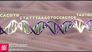 BRCA Gene Mutation Facts and Statistics