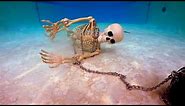 Skeleton in the Swimming Pool