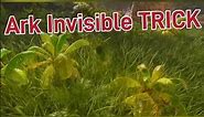 Ark Ascended Invisible Tip #ark