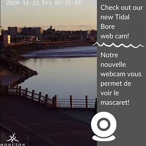 5.7K views · 106 reactions | Did you know that the City has numerous...