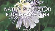 Native Plants for Florida Gardens