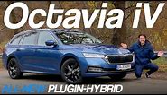 all-new Skoda Octavia iV Plugin-Hybrid FULL REVIEW 2021 (Estate)
