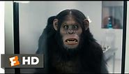 Scary Movie 5 (2013) - Rise of the Apes Scene (6/9) | Movieclips