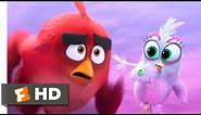The Angry Birds Movie 2 (2019) - Great Balls of Ice Scene (8/10) | Movieclips