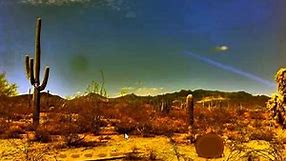 Cactus Desert Escape Video Walkthrough