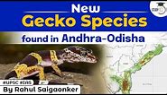 What are Geckos? New Gecko species found near Andhra Odisha | Know all about it | UPSC OPSC