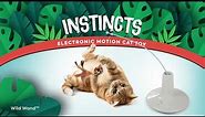 Instincts Wild Wand™ Electronic Motion Cat Toy