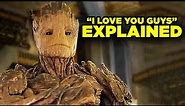 Guardians of the Galaxy 3: GROOT SPEECH Explained!