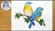 How to draw Eastern Bluebirds step by step