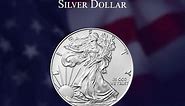 Complete American Eagle Silver Dollar Coin Collection