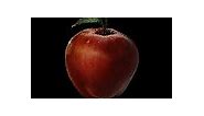 Bright Red Apple | Lies of P Wiki