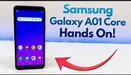 Samsung Galaxy A01 Core - Hands On & First Impressions!
