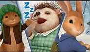 @OfficialPeterRabbit- Helping a Sleepy Hedgehog This Winter | Time to HIBERNATE! | Cartoons for Kids