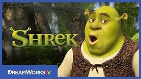 Shrek's Costume Disaster | NEW SHREK