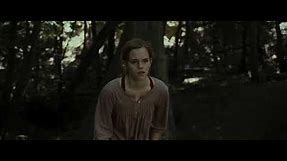 Hermione And Harry Fight - Harry Potter And The Deathly Hallows Part 1