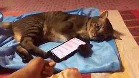 Don’t touch my phone!