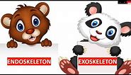 ENDOSKELETON AND EXOSKELETON || TYPES OF SKELETON || SCIENCE VIDEO FOR CHILDREN