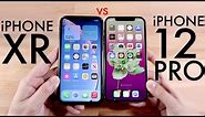 iPhone 12 Pro Vs iPhone XR! (Comparison) (Review)
