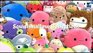 my updated squishmallow collection - july 2021 (over 100 squishmallows)!