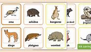 Australian Animals Matching Cards