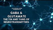 Neurotransmitters and Mood GABA & Glutamate