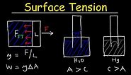 Surface Tension of Water, Capillary Action, Cohesive and Adhesive Forces - Work & Potential Energy