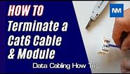 How to Terminate a Cat6 cable and Module