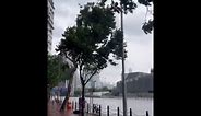 Hong Kong: Winds Pick Up As Typhoon Saola Approaches 2