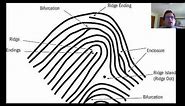 2. Fingerprinting Introduction