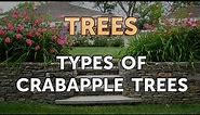 Types of Crabapple Trees