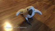 The Stranger Things - Buttons the Cockatoo