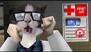 Cat Half Life SFX Memes
