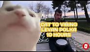 10 Hours - Cat Vibing To Ievan Polkka (Official Video HD) Cat Vibing To Music | Cat Vibing Meme