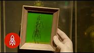 The Laser-Based Science Behind 3D Holograms